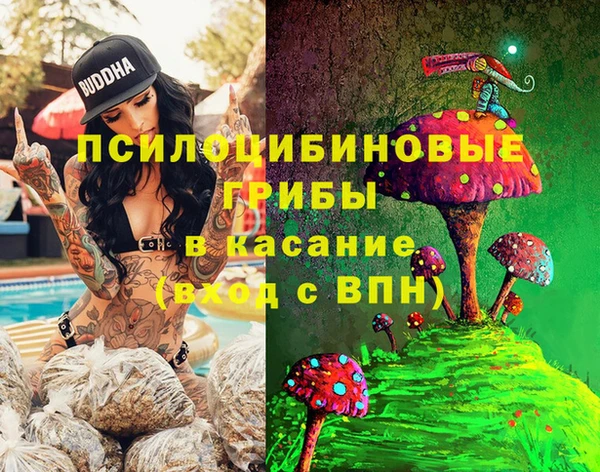 Альфа ПВП Бородино