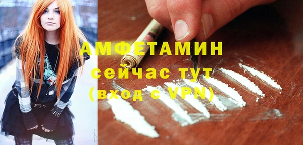 Альфа ПВП Бородино