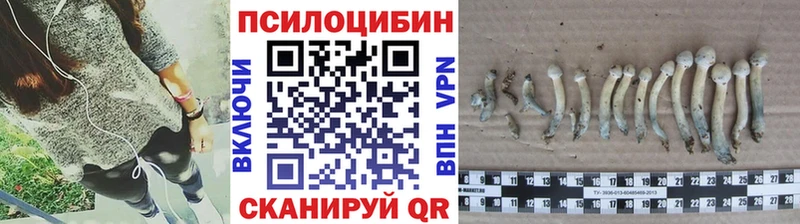 hydra вход  Юхнов  Псилоцибиновые грибы мухоморы 